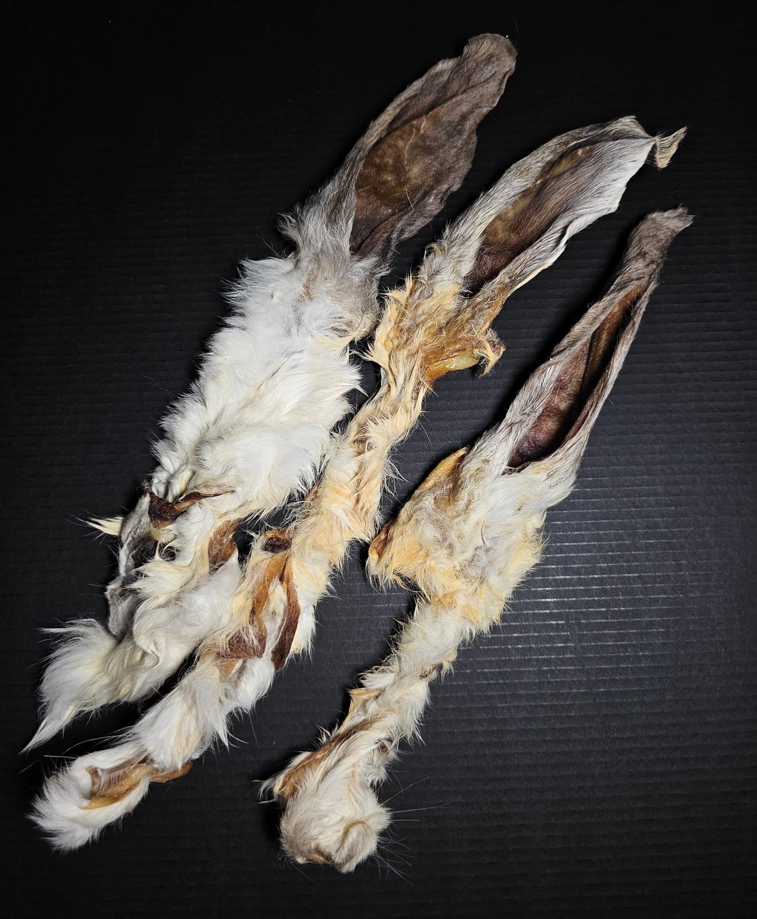 Hairy Rabbit Ear