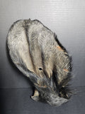 Hairy Cow Ear